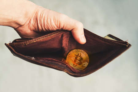 The picture of bitcoin wallet on a light background symbolizes elements of virtual economy. A...