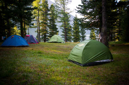 Adventures Camping and tent under the pine forest near water outdoor in morning and sunset pine forest park,の写真素材