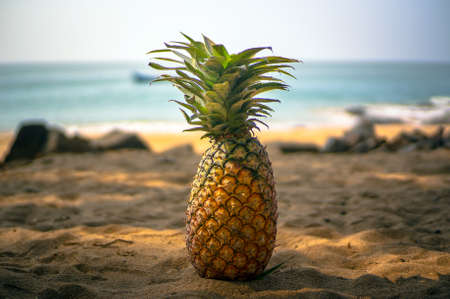 Beautiful natural still life of pineapple on the Golden sand in the shade of palm trees on the sea background.の写真素材