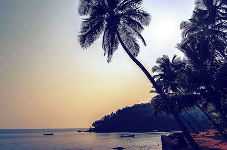 Beautiful beach. View of nice tropical beach with palms around. Holiday and vacation concept. Tropical beach. toning retro styleの写真素材