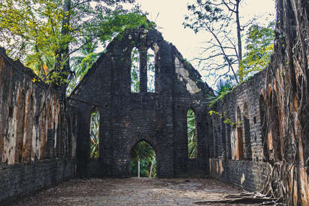 Ruins of abandoned Old British building covered with roots at Ross Island, Andaman Nicobar Islands, Indiaの写真素材