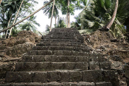 A stone staircase in the jungles of Ross island India Andaman and Nicobar Islands.の写真素材
