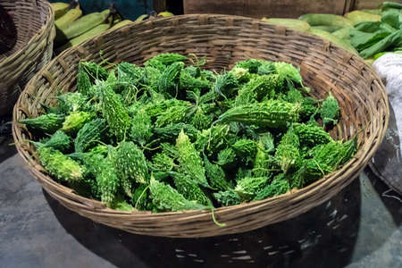 Fresh Momordica charantia fruit basket. Green Indian mad cucumberの写真素材