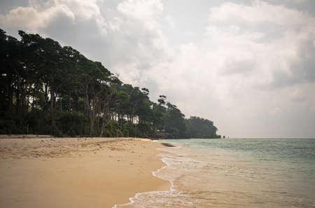 Beach with Palm Trees. Sand spit on the island of Neil Andaman and Nicobar Islands. Beach number 1.