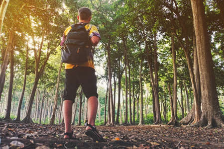 A man is a tourist in a pine forest with a backpack. A hiking trip through the forest. Tropical reserve for tourist walks. A young man in a hike in the spring.の写真素材