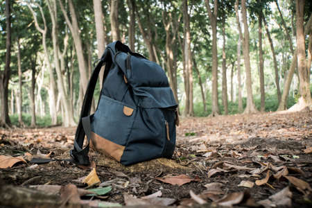 Backpack for travel. Backpack on fallen yellow foliage in the forest. blue bag. autumn forest, autumn wood. the concept of Hiking trips and travelling with a backpackの写真素材