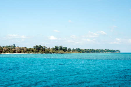 Away Havelock island. view from the sea. trees in sea water on the coast of the Andaman seaの写真素材
