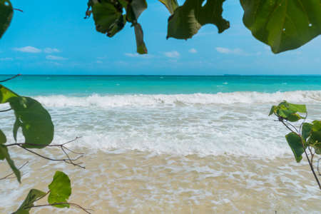 big tree with green leaf shadow over the white sand and beautiful beach of blue sea under clear sky. Natural frame of green leaves around the photoの写真素材