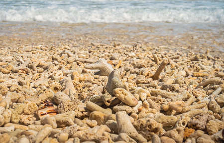 Soft wave of the sea on the sandy beach with dead corals. White foam waves of the sea covering the coral beachの写真素材