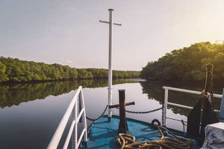 The nose of the boat. Dry mangrove trees. Rio Lagartos, Yucatan, Mexico. sun sets behind the mangroves. sunset dawn morning,の写真素材