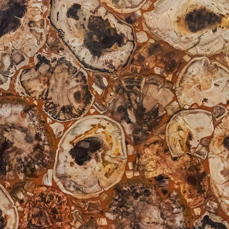 Marble background brown color. stone texture. abstract backgroundの写真素材