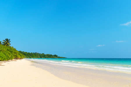Summer nature scene. Tropical beach with sea, blue sky and palm trees, Kood island is located in the South East part of Thailand. Beautiful sea and white sand beach.の写真素材