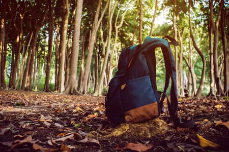 blue Backpack in the north siberian taiga forest. Subtropical forest in Havelock island Andaman and Nicobar Islands. India. Amazing trees. the concept of Hiking trips and travelling with a backpackの写真素材