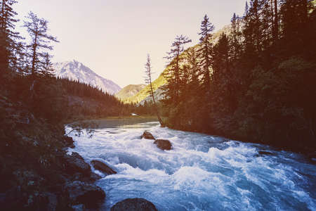 Beautiful Mountain River. Autumn. Current water. Tree on the stone. Stream water. waterfall landscape in Canada. The red maples leaves frame this beautiful waterfall.の写真素材