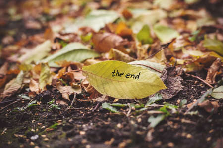 The inscription the end on the yellow autumn leaf in a heap of yellow leaves. Fallen leaves scattered. The concept of autumnの写真素材