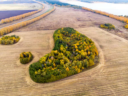 A view from above of autumn forest forests and a farm field in the forest. Harvesting on a wheat field. Russia Altai territory. Top view small Islands of forest in the field.の写真素材
