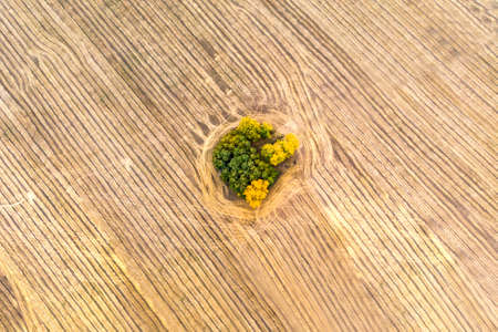 A view from above of autumn forest forests and a farm field in the forest. Harvesting on a wheat field. Stock up on hay for the winter. Russia Altai territoryの写真素材