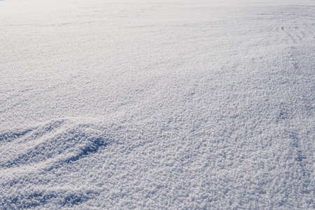 background of fresh snow texture in blue tone. snowdrift, snow drift freshly fallen snowの写真素材