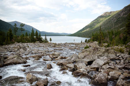 Wild mountain river flowing through the fir forest. river flows into the lake.の写真素材