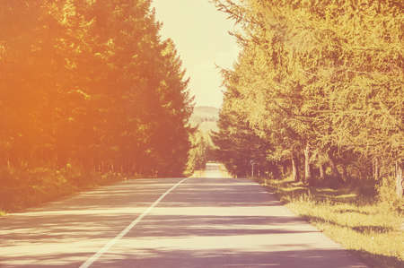 Paved road in the forest. solar tinted photo.の写真素材