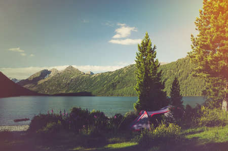 Various tourist tents placed outdoors in the woods. Camping tourists on the background of pine trees in the forest. Tourist romance. Altai mountains Russia Concept Travel. retro toningの写真素材