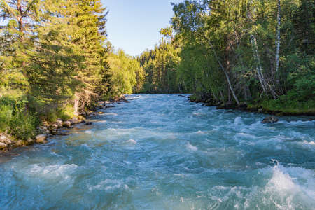 After a flood of the mountain river. Altai, Siberia. Mountain river flows between the trees in the Siberian taiga.の写真素材