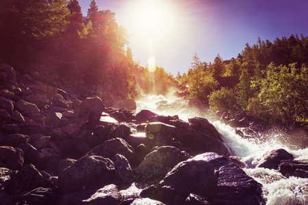 beautiful waterfall cascads on river in forest in mountains. water motion. beautiful scenery landscape of river in woods under summer sun lightの写真素材