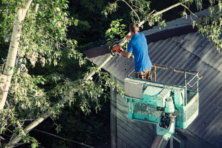 Firefighters on the extendable crane cutting branches of a tree for safety reasons after heavy...