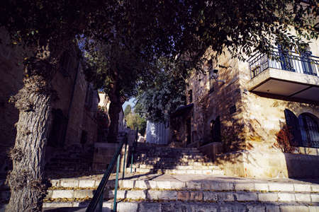 Scenic street with stone steps and aged plants, vintage buildings and blooming flowers in Old city of Jerusalem. Normal lifestyle of Jerusalem citizens. Architecture of residential area in Israelの写真素材
