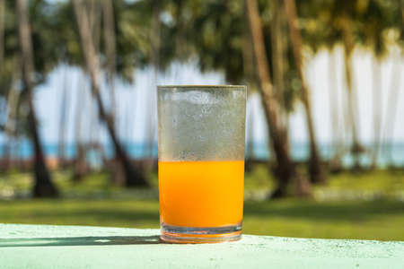 Glass with Freshly Pressed Tropical Fruits Juice Standing on Beach. Green Palm Tree Leaves Succulents in Background. Blue Sky Golden Sunlight Turquoise Sea.の写真素材