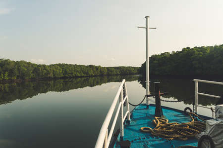 boat floats on a narrow canal of mangrove trees chelb. Boat ride getting out of a mangrove green water canal. Andaman and Nicobar Islands. Indiaの写真素材