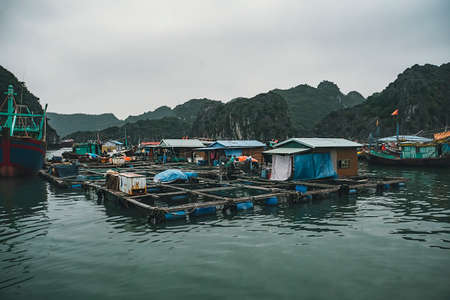 Floating village of Kuah Wan in Halong bay in Vietnam. Houses on the water. Rocky coast. Winter rainy season fogs.の写真素材