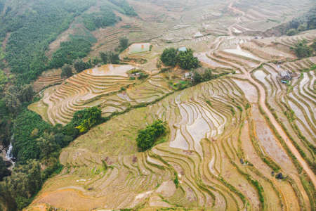 Aerial view of green terraced rice fields and building on the valley at Cat Cat village in Sapa, Vietnam.の写真素材