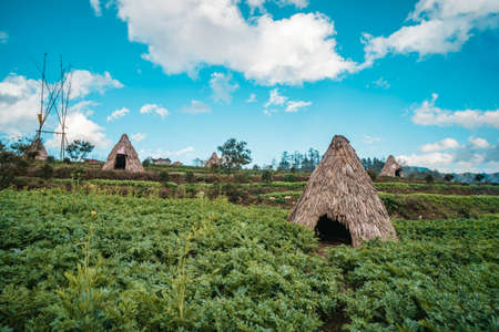 Traditional home of small peoples of North Vietnam, living in the mountains near the city of Sapa. Historical reconstruction. Installation. Ancient straw dwelling tribes in Southeast Asia.の写真素材