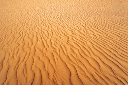 Abstract texture. Background with smooth lines of sand. Sand dunes Ripples in the sand. Strips in...