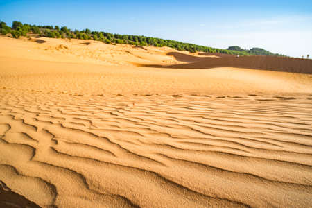 Big dune on the background of blue sky. Phan Thiet, Vietnam. Beautiful landscape with desert and small oasis with trees in the background.の写真素材