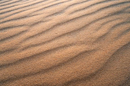 Abstract texture. Background with smooth lines of sand. Sand dunes Ripples in the sand. Strips in the sand from the windの写真素材