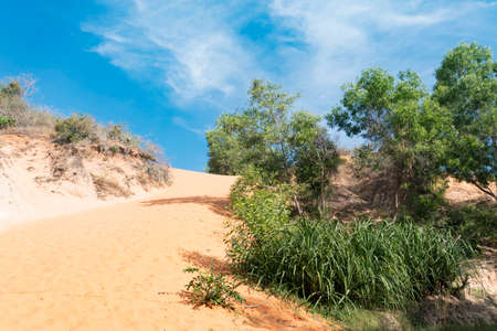 Fairy Stream Canyon Mui Ne, Vietnam, Southeast Asia. Beautiful scenic landscape with red river, sand dunes and jungle. Tropical oasis scenery. Popular, famous landmark, tourist destination of Vietnam.の写真素材