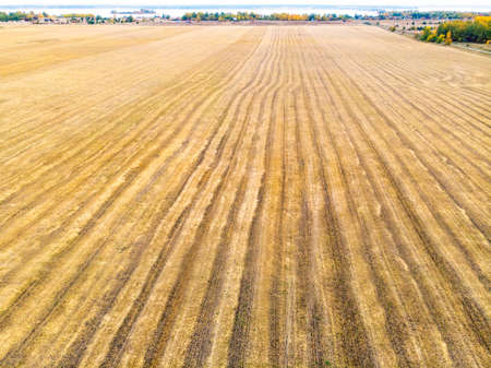 Autumn yellow field with a haystack after harvest top view, Harvesting in the fieldsの写真素材