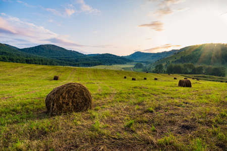 haystacks on the empty field after harvesting illuminated by the warm light of setting sun. Altay region, Russia. Autumn harvesting in the fields. Golden sunset over farm field with hay balesの写真素材