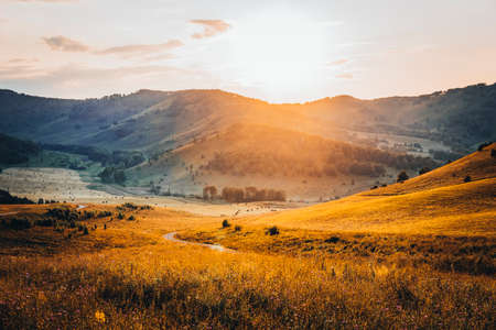 Beautiful view of the valley among the high mountains, Yellow grass in the foreground. Altai autumn landscape.の写真素材