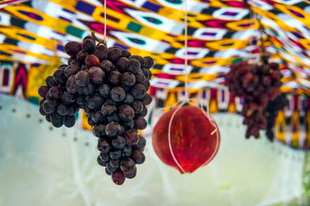 fruit for tasty and fresh wine are sweet, mediterranean grapes. purple grapes hanging at home. grapes hang in a traditional Uzbek dwelling.の写真素材