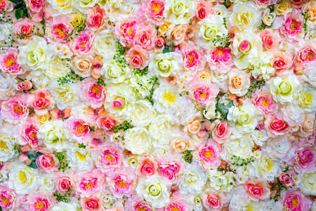 Colorful roses background. many different colors. different types of rosesの写真素材