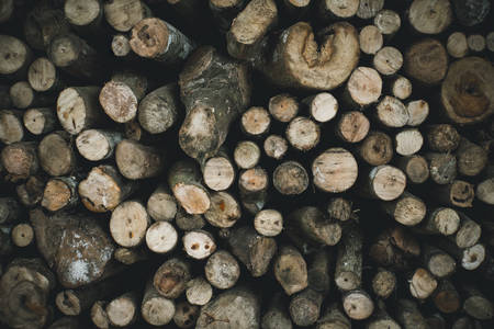 dry chopped firewood logs ready for winter.の写真素材