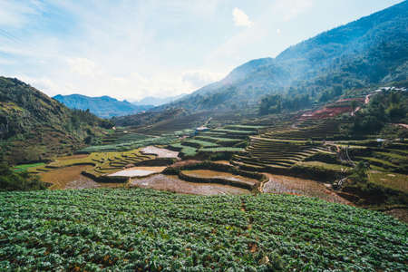 Black Hmong village and terrace rice fields in Winter on foggy and rainy day at Muong Hoa Valley in Sapa, vietnam. harvest from the rice fieldの写真素材