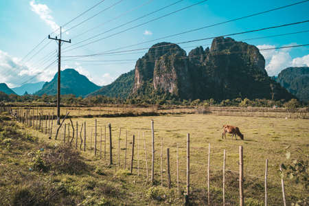 Stunning view of some cows grazing on a field with some limestone mountains illuminated by sun rays...