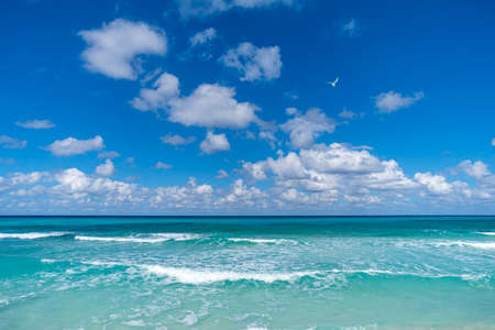 Beautiful tropical landscape with turquoise ocean. Horizon line on the background. endless clear blue sea and the blue sky with white clouds merge on the horizon. Seascape. Natural background