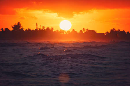 Peaceful Caribbean sea sunset. sun sets behind the trees on the horizon. tropical viewの写真素材