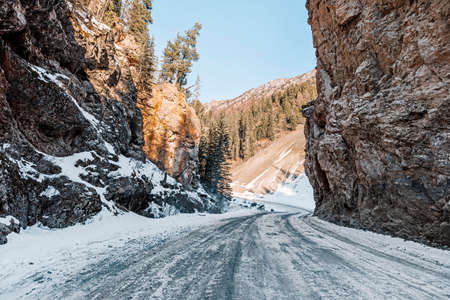 winter road through the rocks on the background of a winter forest with Christmas trees.の写真素材