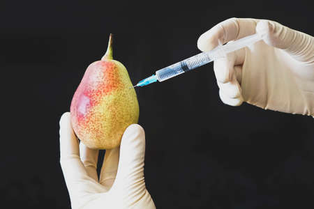pesticides used in fruits food. Gloved arm of GMO scientist sticking syringe with liquid green pears. Genetically modified fruits conceptの写真素材